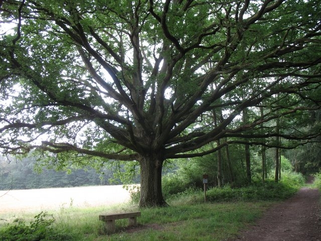 2007 05 Myco avec la SMF 08